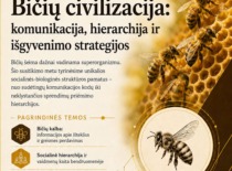 Kvietimas