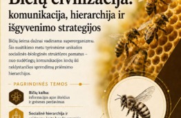 Kvietimas